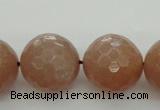 CMS946 15.5 inches 16mm faceted round A grade moonstone gemstone beads