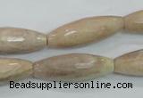 CMS95 15.5 inches 10*30mm faceted rice moonstone gemstone beads