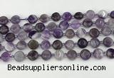 CNA1185 15.5 inches 10mm flat round amethyst beads wholesale