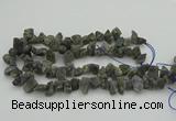 CNG1159 15.5 inches 8*12mm - 13*18mm nuggets labradorite beads