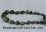 CNG2520 15.5 inches 10*14mm - 20*35mm nuggets labradorite beads