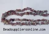 CNG2545 4*6mm – 6*10mm nuggets tourmaline beads wholesale