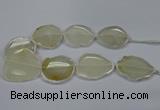 CNG2661 15.5 inches 30*40mm - 40*55mm freeform agate beads