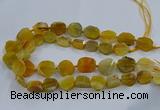 CNG2907 15.5 inches 12*16mm - 15*25mm freeform agate beads