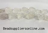 CNG3558 15.5 inches 18*20mm - 25*30mm nuggets rough white crystal beads