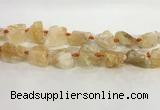 CNG3563 15.5 inches 18*20mm - 25*30mm nuggets rough citrine beads