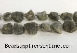 CNG3567 15.5 inches 18*20mm - 25*30mm nuggets rough labradorite beads