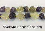 CNG3576 18*20mm - 25*30mm nuggets rough amethyst & lemon quartz beads