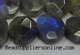 CNG5144 15.5 inches 15*18mm - 15*20mm faceted freeform labradorite beads