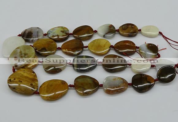 CNG5158 15.5 inches 16*22mm - 30*35mm freeform Mexican agate beads