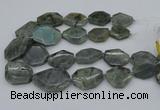 CNG5254 15.5 inches 22*30mm - 35*45mm faceted freeform labradorite beads