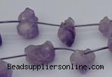 CNG5260 15.5 inches 5*8mm - 15*20mm nuggets amethyst beads