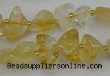 CNG5331 15.5 inches 6*8mm - 13*18mm nuggets citrine beads