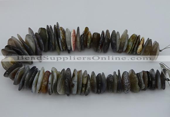 CNG5432 5*20mm - 8*25mm nuggets botswana agate gemstone beads