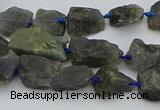 CNG5528 15.5 inches 10*14mm - 15*20mm nuggets labradorite beads