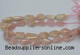 CNG5590 15.5 inches 15*20mm - 22*30mm faceted freeform morganite beads