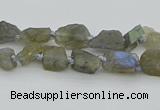 CNG5620 6*9mm - 10*16mm nuggets labradorite gemstone beads