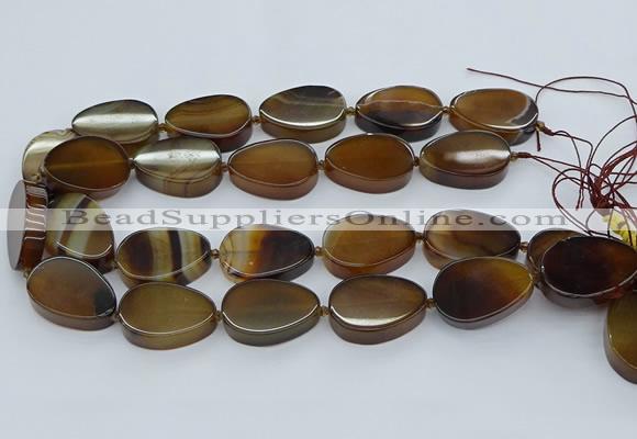 CNG5667 15.5 inches 22*30mm freeform agate gemstone beads