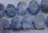 CNG5718 15.5 inches 10*14mm - 13*18mm faceted nuggets aquamarine beads