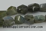 CNG5753 15.5 inches 10*12mm - 12*16mm faceted nuggets labradorite beads