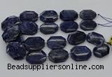 CNG5765 15.5 inches 20*30mm - 35*45mm faceted freeform sodalite beads