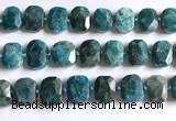 CNG5789 15.5 inches 13*18mm - 15*20mm faceted freeform apatite beads