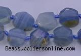 CNG5793 10*12mm - 10*14mm faceted freeform blue calcite beads