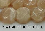 CNG5872 15.5 inches 8*12mm - 12*16mm faceted freeform moonstone beads