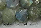 CNG5874 15.5 inches 8*12mm - 12*16mm faceted freeform labradorite beads