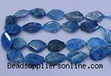 CNG5960 15.5 inches 18*25mm - 25*35mm faceted freeform apatite beads