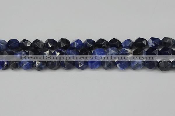 CNG6179 15.5 inches 10mm faceted nuggets sodalite gemstone beads