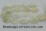 CNG6927 20*30mm - 35*45mm faceted freeform white moonstone beads