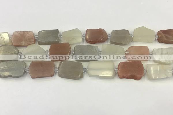 CNG6944 15.5 inches 13*18mm - 20*22mm freeform mixed moonstone beads