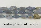 CNG6950 15.5 inches 18*20mm - 22*30mm freeform blue chalcedony beads