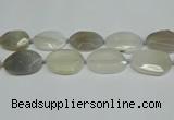 CNG7081 15.5 inches 25*35mm - 35*45mm faceted freeform agate beads