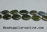 CNG7098 25*35mm - 35*45mm faceted freeform labradorite beads