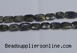 CNG7487 15.5 inches 18*25mm - 20*30mm faceted freeform labradorite beads