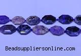 CNG7516 15.5 inches 25*35mm - 30*40mm faceted freeform charoite beads