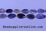 CNG7527 18*25mm - 25*35mm faceted freeform Botswana agate beads