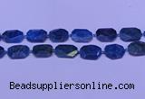 CNG7533 15.5 inches 18*25mm - 25*35mm faceted freeform apatite beads