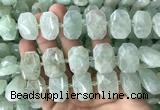 CNG7753 13*18mm - 15*25mm faceted freeform light prehnite beads