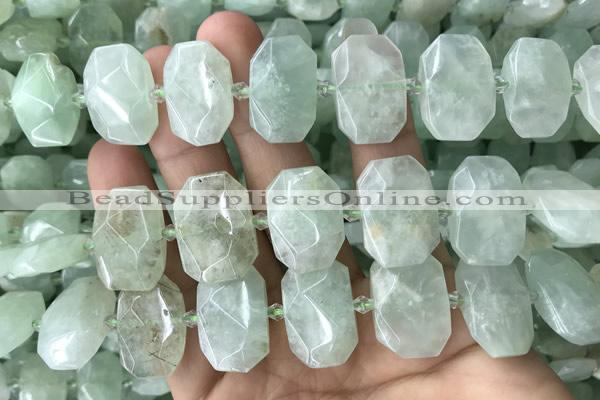 CNG7753 13*18mm - 15*25mm faceted freeform light prehnite beads