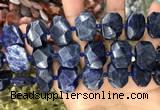 CNG7788 15.5 inches 13*18mm - 15*25mm faceted freeform sodalite beads