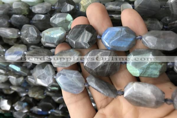 CNG7820 15.5 inches 13*18mm - 18*25mm faceted freeform labradorite beads