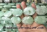 CNG7831 20*28mm - 25*35mm faceted freeform light prehnite beads