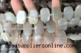 CNG7880 13*18mm - 15*25mm faceted freeform moonstone beads