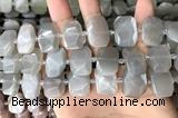 CNG7882 13*18mm - 15*25mm faceted freeform moonstone beads