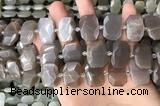 CNG7886 13*18mm - 15*25mm faceted freeform moonstone beads