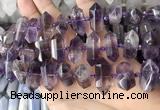 CNG7930 15.5 inches 8*22mm - 12*30mm faceted nuggets amethyst beads