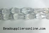 CNG7950 15.5 inches 15*25mm - 20*40mm nuggets white crystal beads